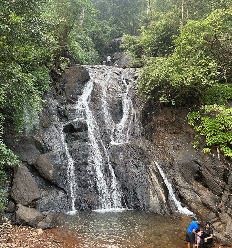 Netravali Wildlife Sanctuary Goa: Discover Goa’s Untouched Natural Paradise